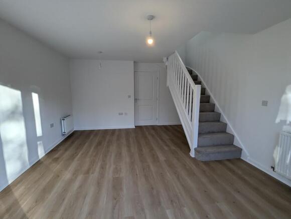 PXL_20241022_1543...