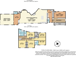 KilnOrchardBeechTree