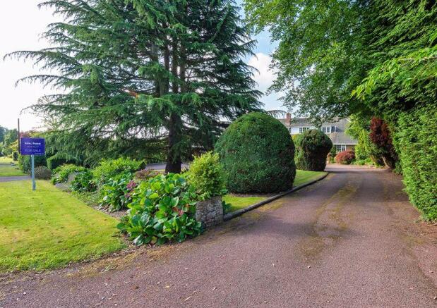 Driveway