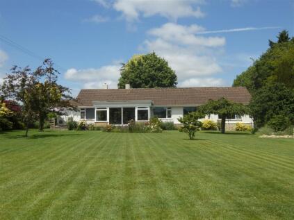 Musbury Lane, Marnhull, Sturminster Newton