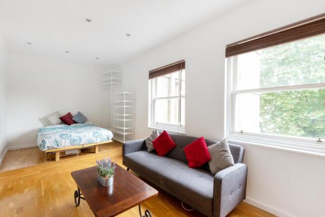 Reception Room/Bedroom