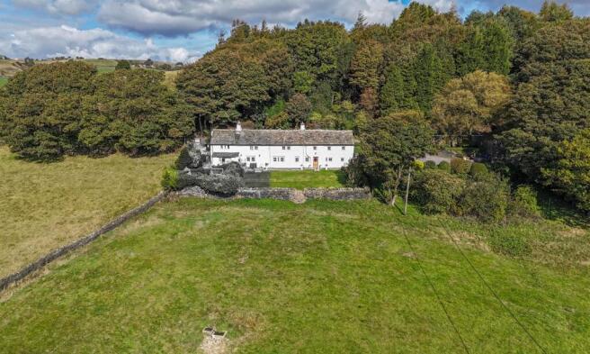 Upper Lumb greyed out.jpg