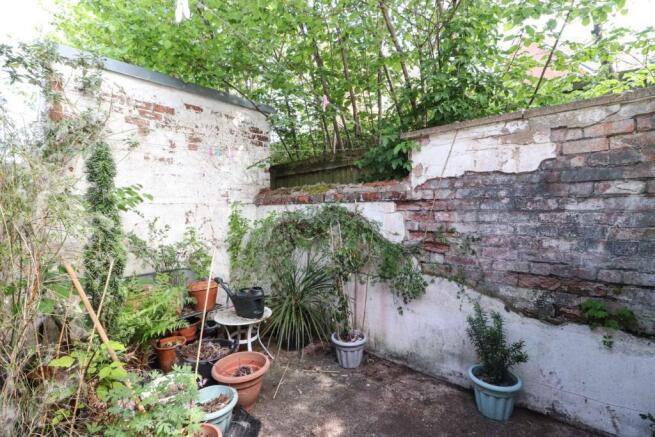 Rear Yard