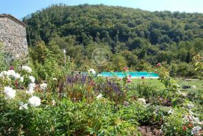 Photo of Tuscany, Siena, Gaiole in Chianti