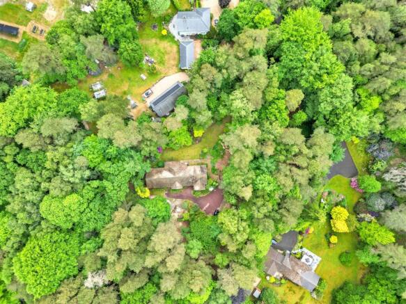 DJI_0457.jpg