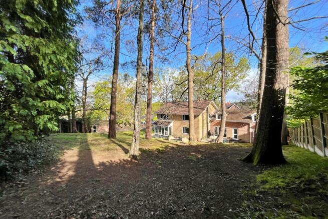  (Main)