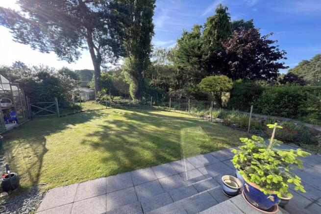 Back Garden