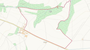 Site Plan.png