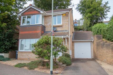 Claremont Field, Ottery St Mary