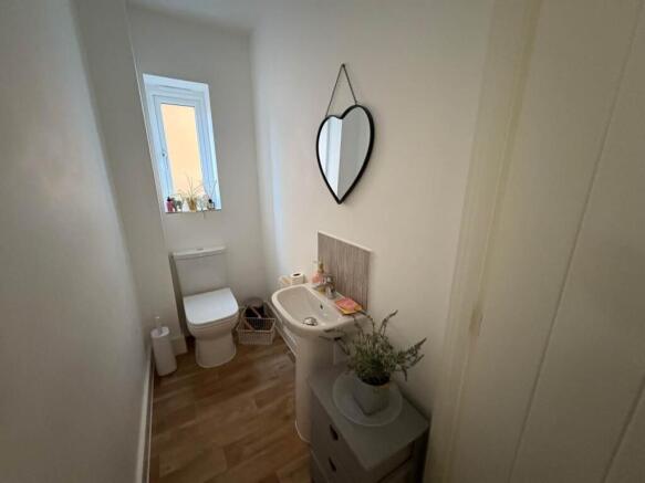 jackson way 12 cloak