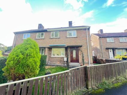 Dene Park, Esh Winning, Durham