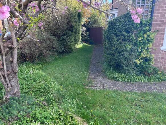 Side Garden