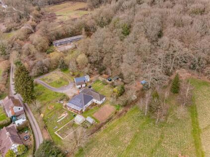 Woodlands & Woodlands Country Cat Hotel, Falcon Lane, Ledbury, Herefordshire, HR8