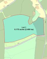 Floor/Site plan 1