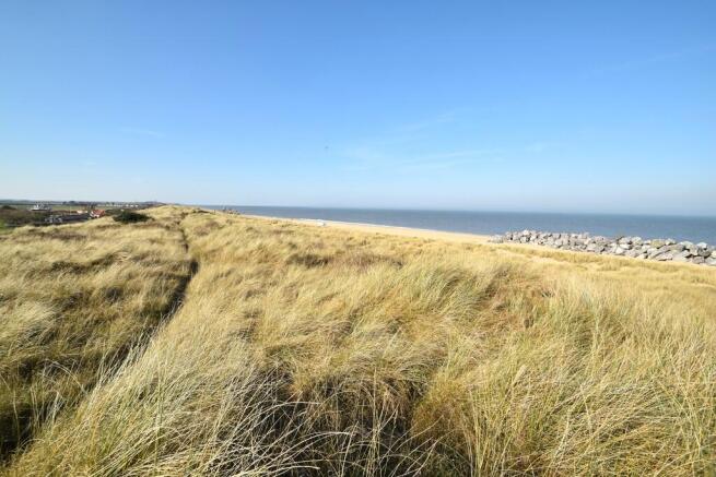 View from Dunes
