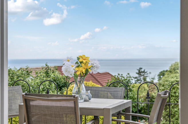 View From Patio