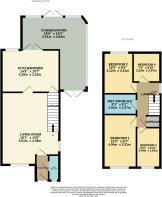 6BirchwoodM437ST-High.jpg