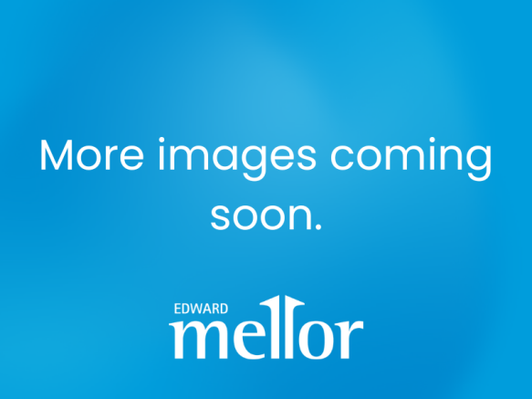 more Images Coming Soon (5).png