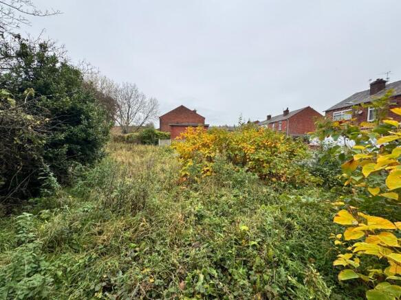 WhatsApp Image 2025-10-30 at 13.28.15.jpeg