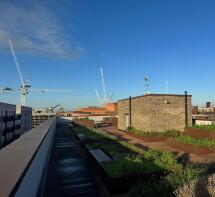 Communal Roof Garden