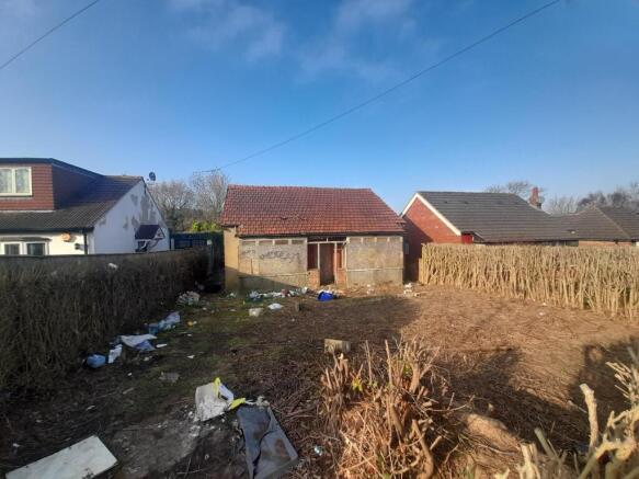 REAR GARDEN T202504171220.jpg