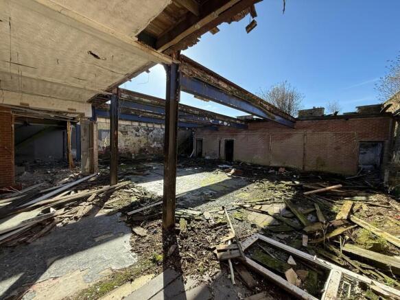 Taylor 3 T202510241320.jpeg