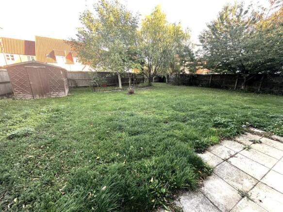 Back garden.JPG