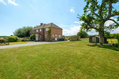  Bladbean, Elham, CT4