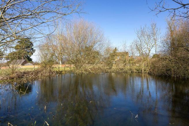 Pond