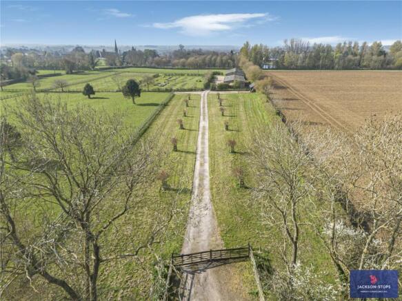 Tree Lined Drive