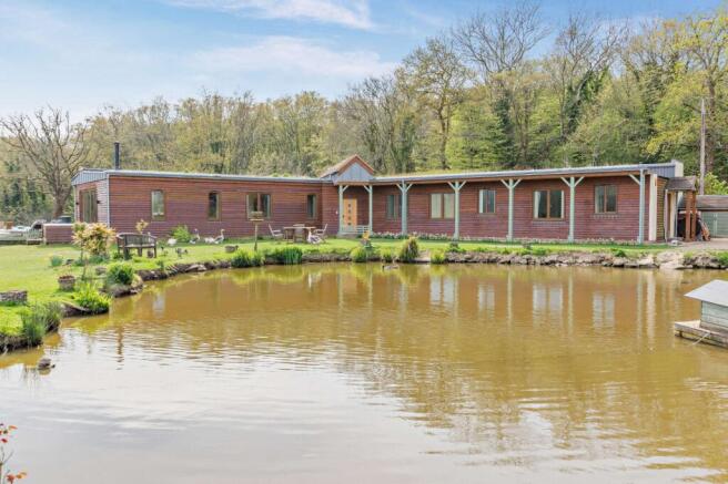 Foxy Hollow Farm