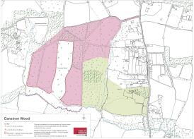 Land Plan