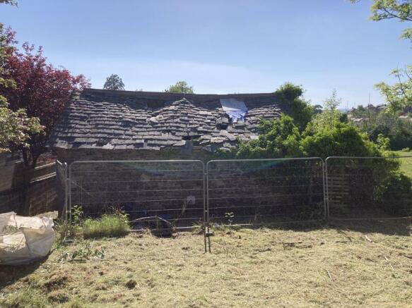 Back of the plot