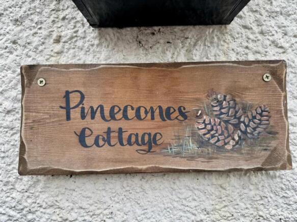 Pinecones