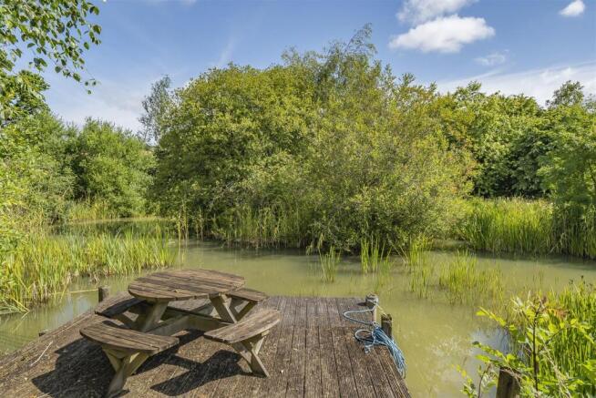 Pond