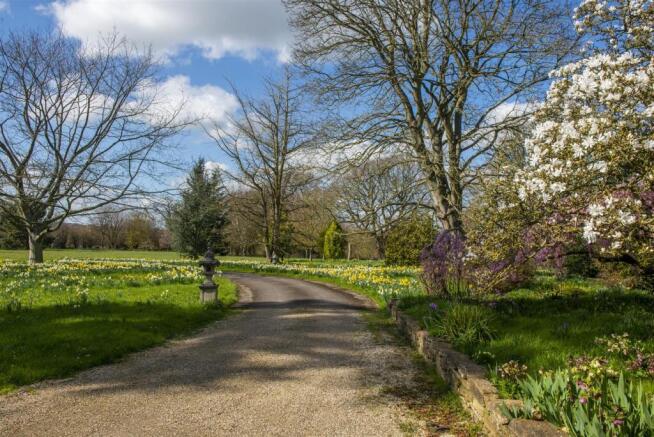 Entrance Driveway.JPG