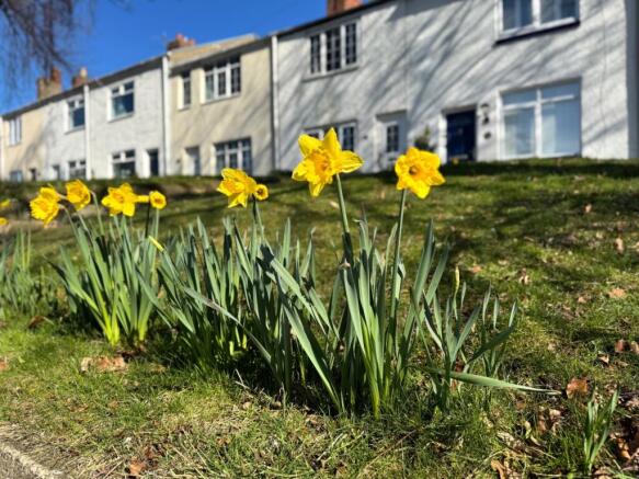 mood front daffs
