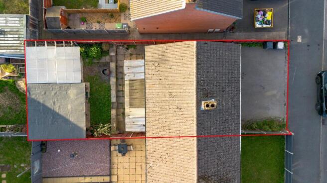 Birds Eye