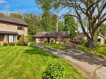 Tall Trees, Hessle, East Riding of Yorkshire, HU13 0LE