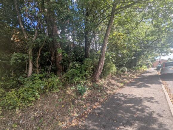 PXL 20250909 122516146 T202509091643.jpg