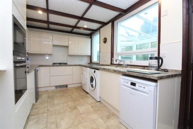 IMG 6893 Medium T202510201246.jpg