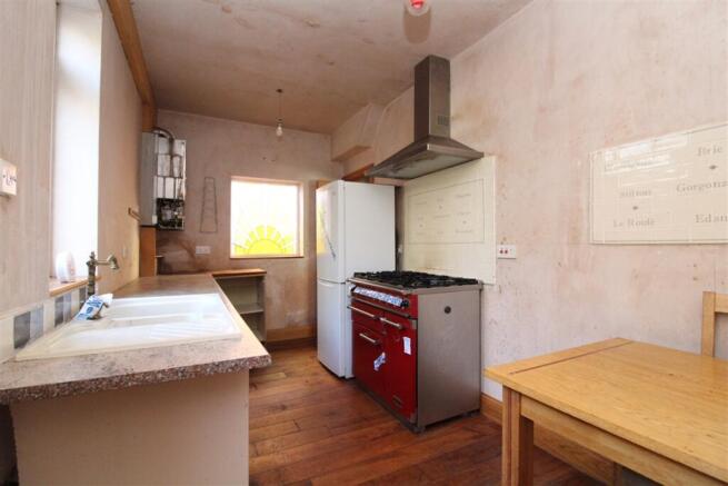 IMG 7368  Medium  T202511251635.jpg