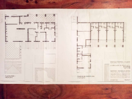 Floor/Site plan 1