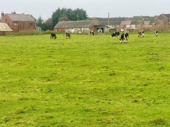 Field to the Rear