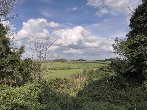 Fields To The Rear