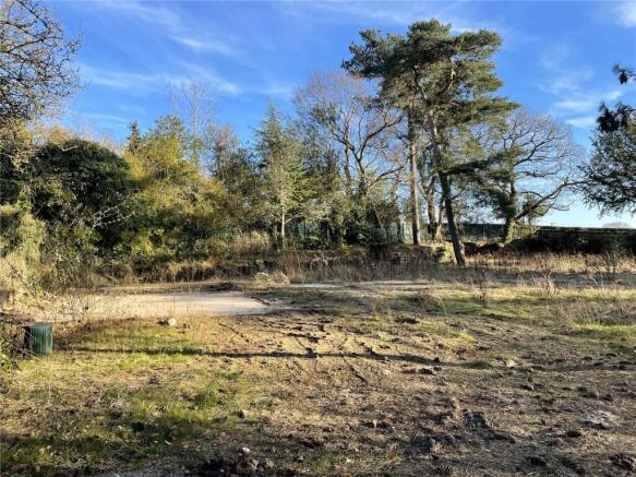 Ashley House Plot
