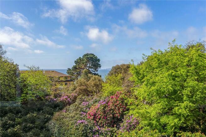 View From Sunroom