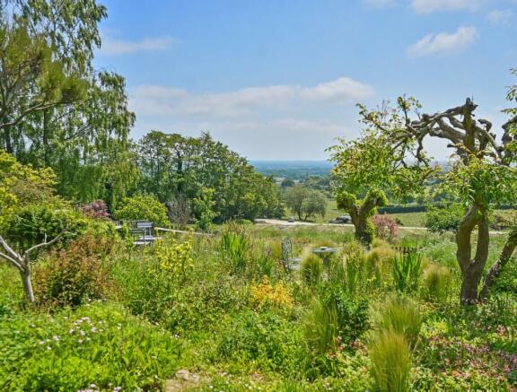 Garden and View