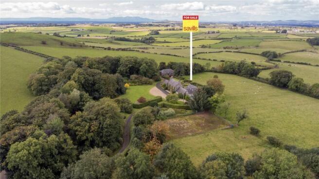 Aerial Shot