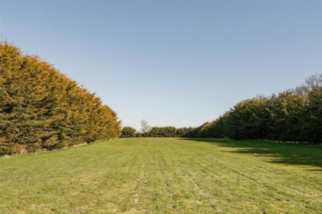 Grounds